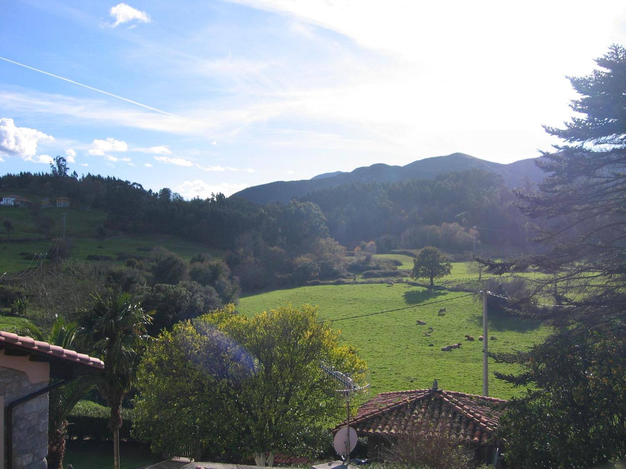 Apartamentos El Cueto De Los Collado Villanueva de Pria Экстерьер фото